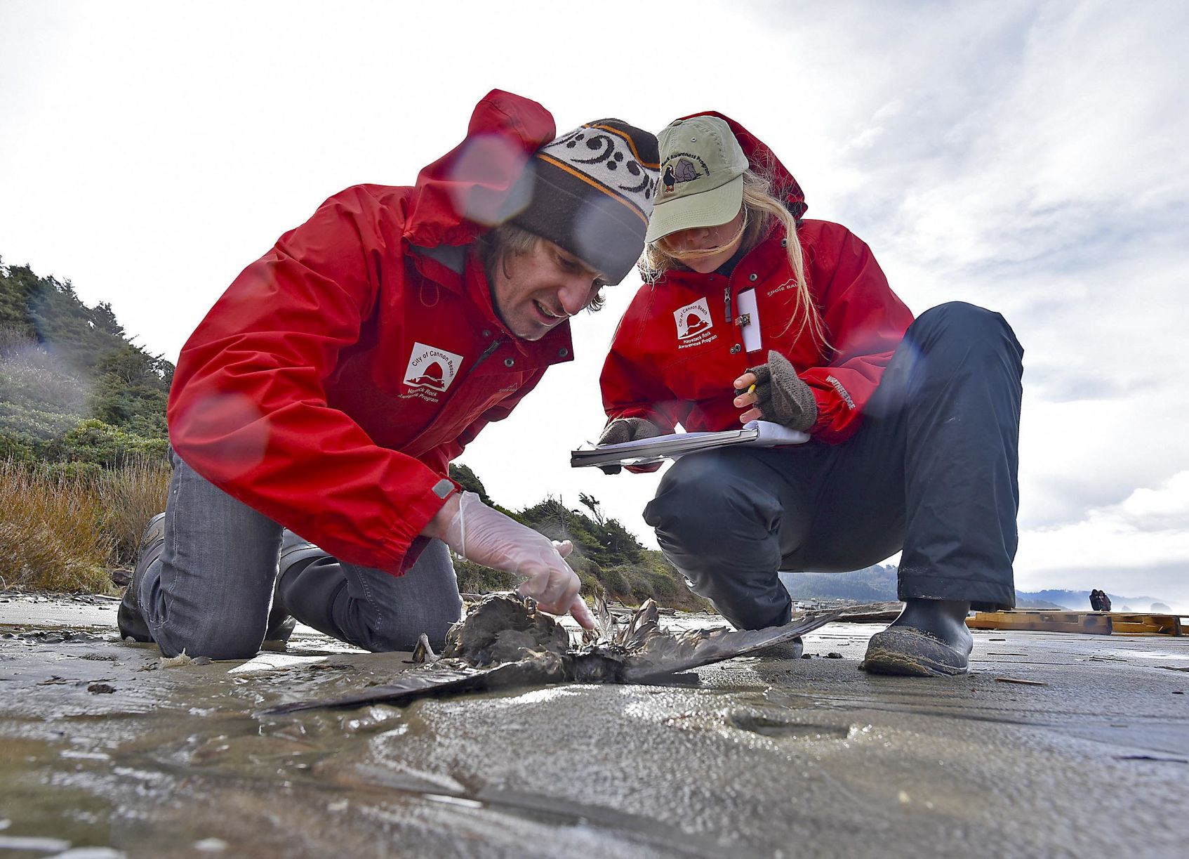 BC-OR--Citizen Science 1.jpg